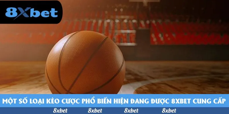 Một số loại kèo cược phổ biến hiện đang được 8xbet cung cấp